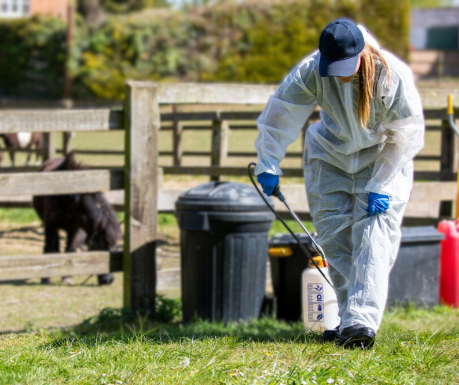 equine biosecurity best practice