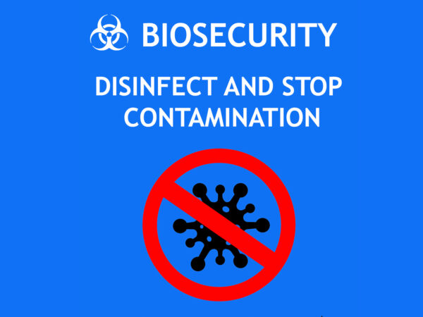 equine biosecurity best practice